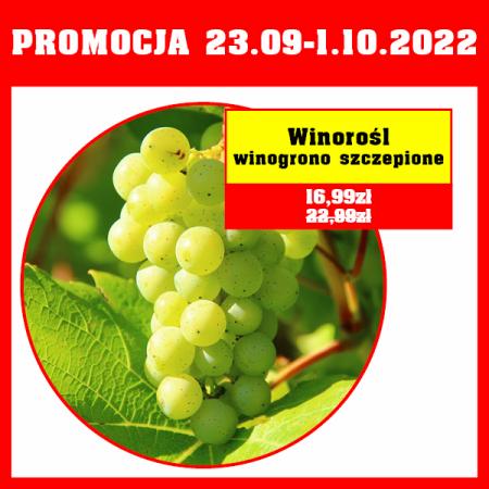 Katalog Szarotka | Promocja | 23.09.2022 - 1.10.2022