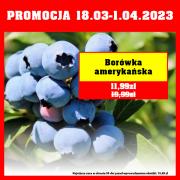 Katalog Szarotka w: Wrocław | Promocja | 20.03.2023 - 1.04.2023