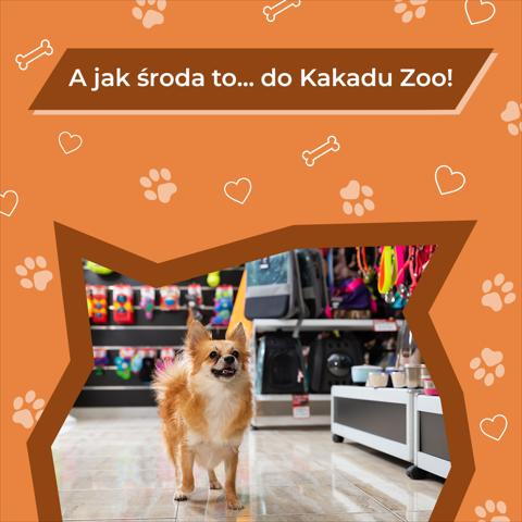 Promocje Supermarkety w Poznań | Kakadu gazetka de Kakadu | 30.11.2022 - 3.12.2022