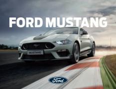 Oferta na stronie 42 katalogu Mustang sprzedawcy Ford