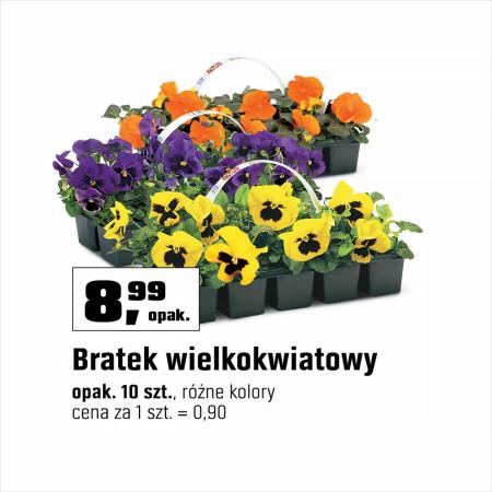 Katalog OBI w: Kraków | Hit Cenowy | 21.03.2023 - 29.03.2023