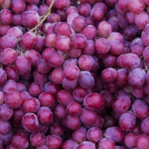 Winogrona ciemne za 7,99 zł w Aldi