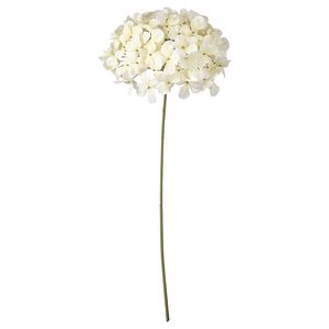Sztuczny kwiat za 19,99 zł w IKEA