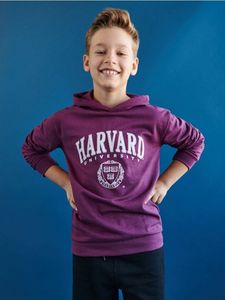 Bluza Harvard za 33,99 zł w sinsay