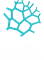 Logo Galeria Warmińska